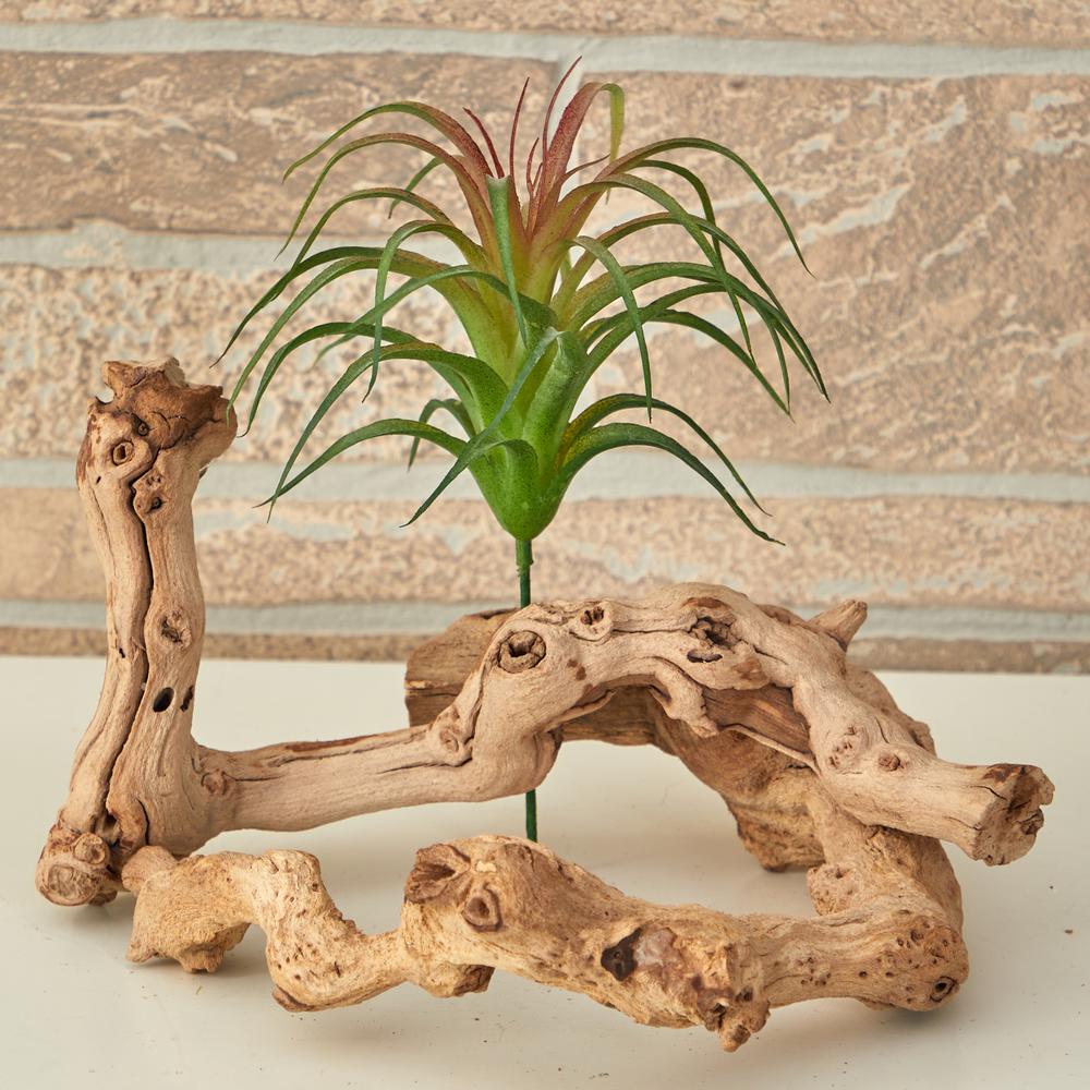 Nearly Natural 8in. Tillandsia Artificial Flower (Set of 12)2364S12BG The Home Depot