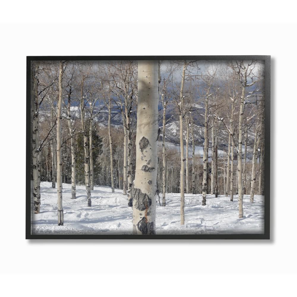 Stupell Industries 11 In X 14 Winter Birches Photography By Winter Birches Photography By In House Art Wood Framed Wall