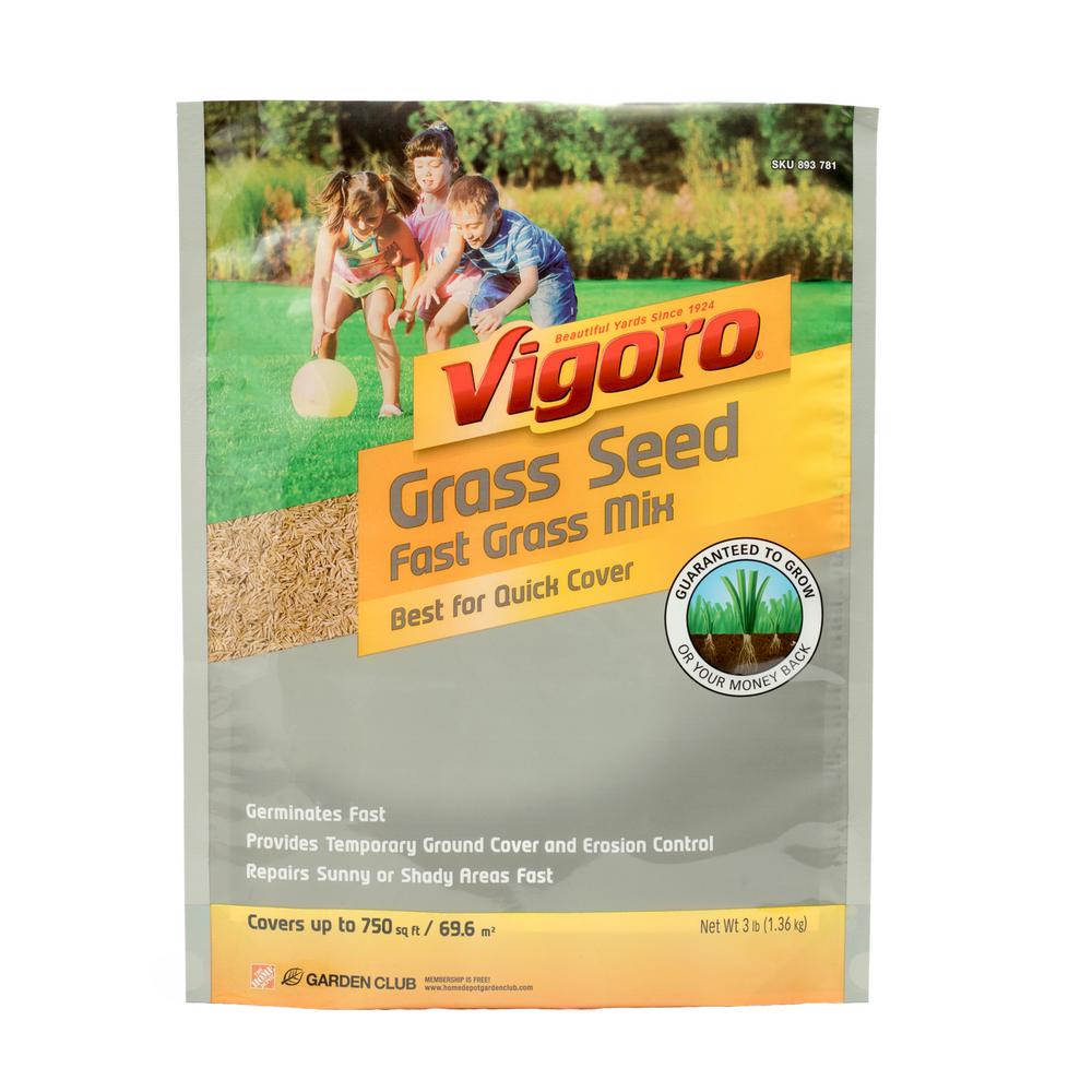 Vigoro 3 Lb Fast Grass Seed Mix 25102 The Home Depot