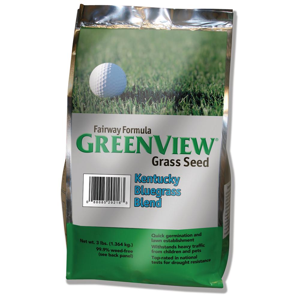 Kentucky Bluegr Blue Gr Seed Lawn Care The Home Fairway Formula Kentucky Bluegr Blend
