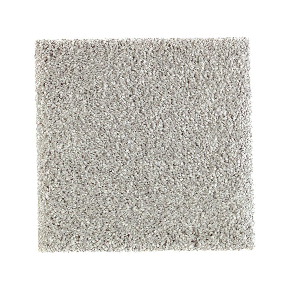 PetProof Carpet Sample Whirlwind II Color Navigator Texture 8 in. x