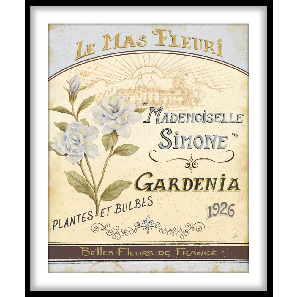 9 75 In X 11 French Seed Packet Iv Framed Wall Art