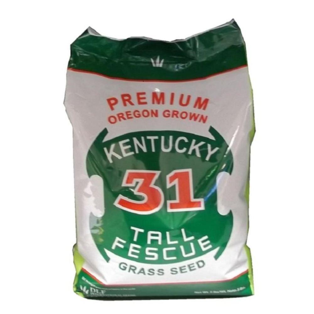 Dlf International Seeds 5 Lb Kentucky 31 Tall Fescue Grass Seed Hdk31005 The Home Depot 