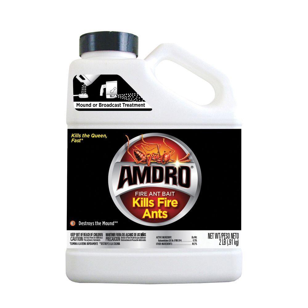 Ortho 1/2 Gal. Home Defense Bed Bug-020251005 - The Home Depot