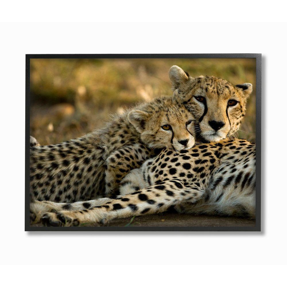 The Stupell Home Decor Collection 16 In X 20 In Cheetah Family