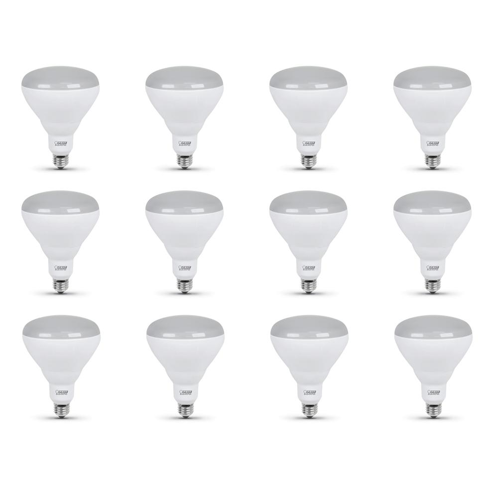 Feit Electric 65 Watt Equivalent Br40 Dimmable Cec Title 24 Compliant