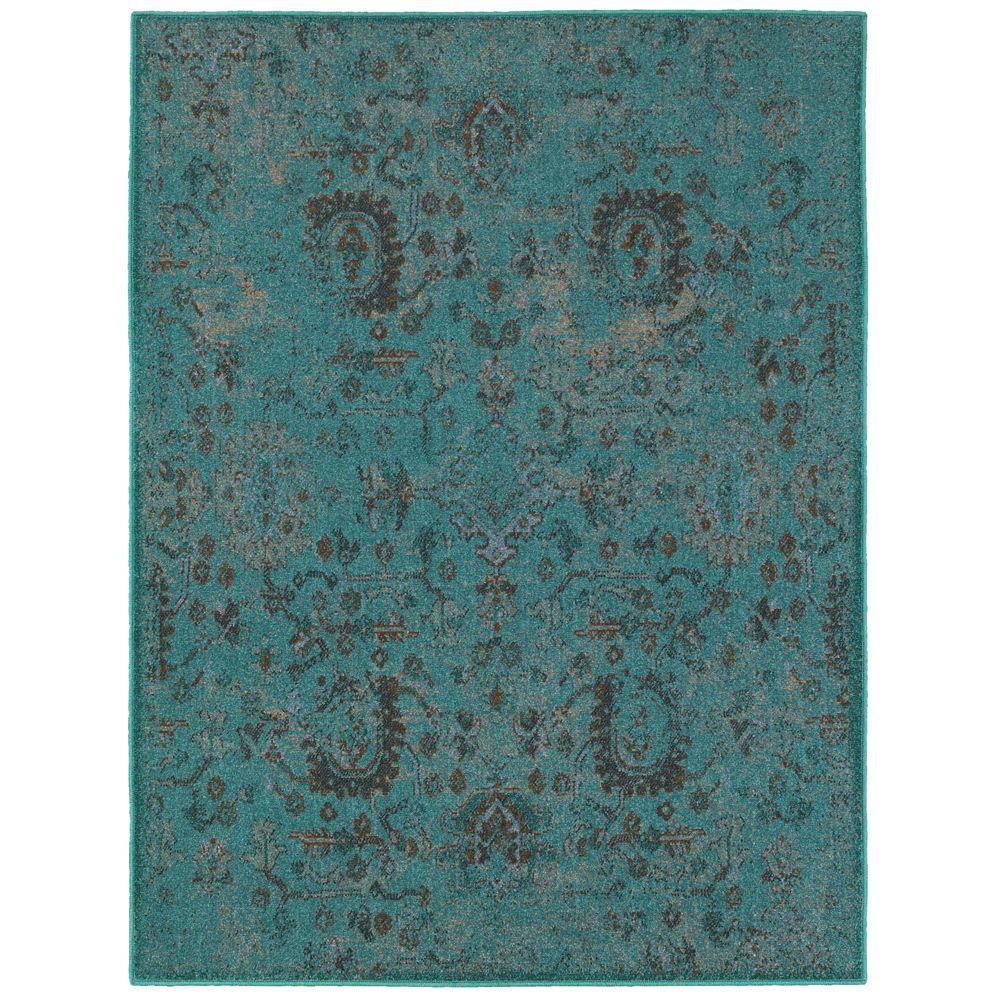  Home  Decorators  Collection  Overdye II Teal 4 ft x 6 ft 