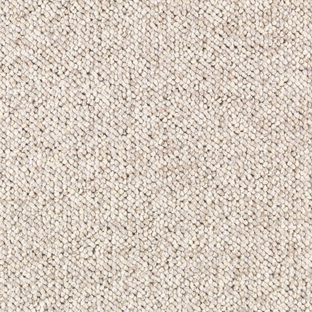Carpet Samples Carpet The Home Depot