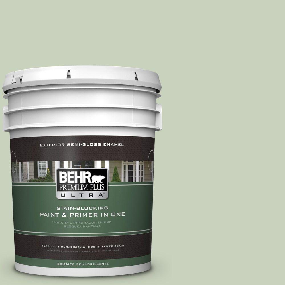 BEHR Premium Plus Ultra 5gal. PPU109 Chinese Jade Semi