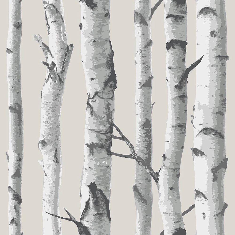 Nuwallpaper Multi Color Birch Tree Wallpaper Nu1650 The Home Depot