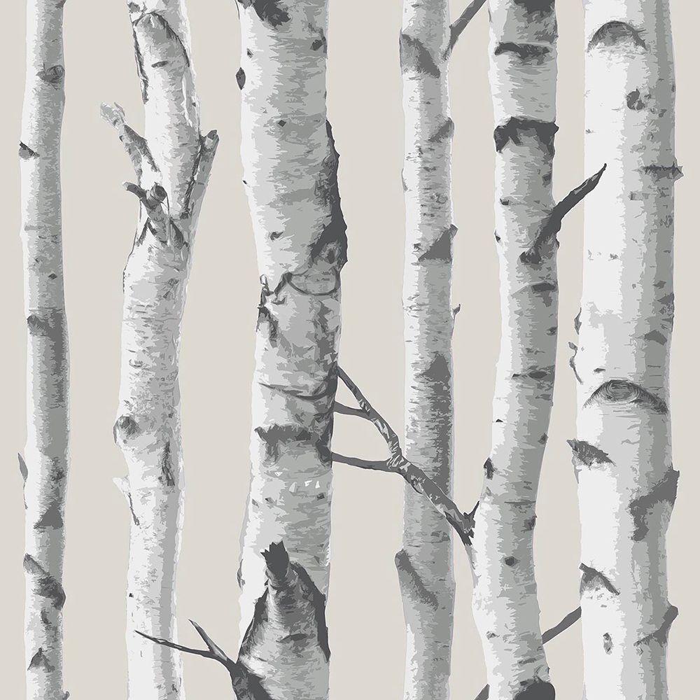 NuWallpaper Multi Color Birch Tree Peel And Stick Wallpaper Sample