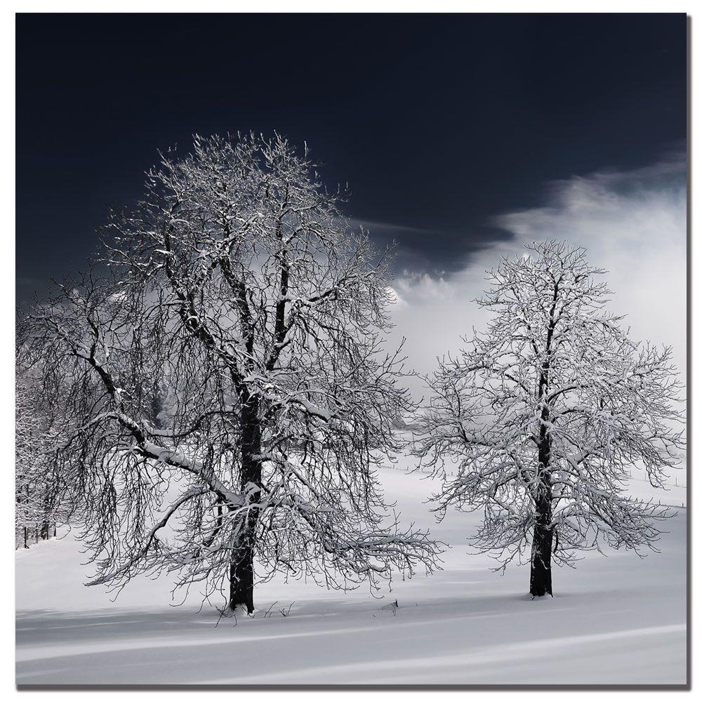 24 in. x 24 in. White Nature Canvas ArtPSL038C2424GG The Home Depot