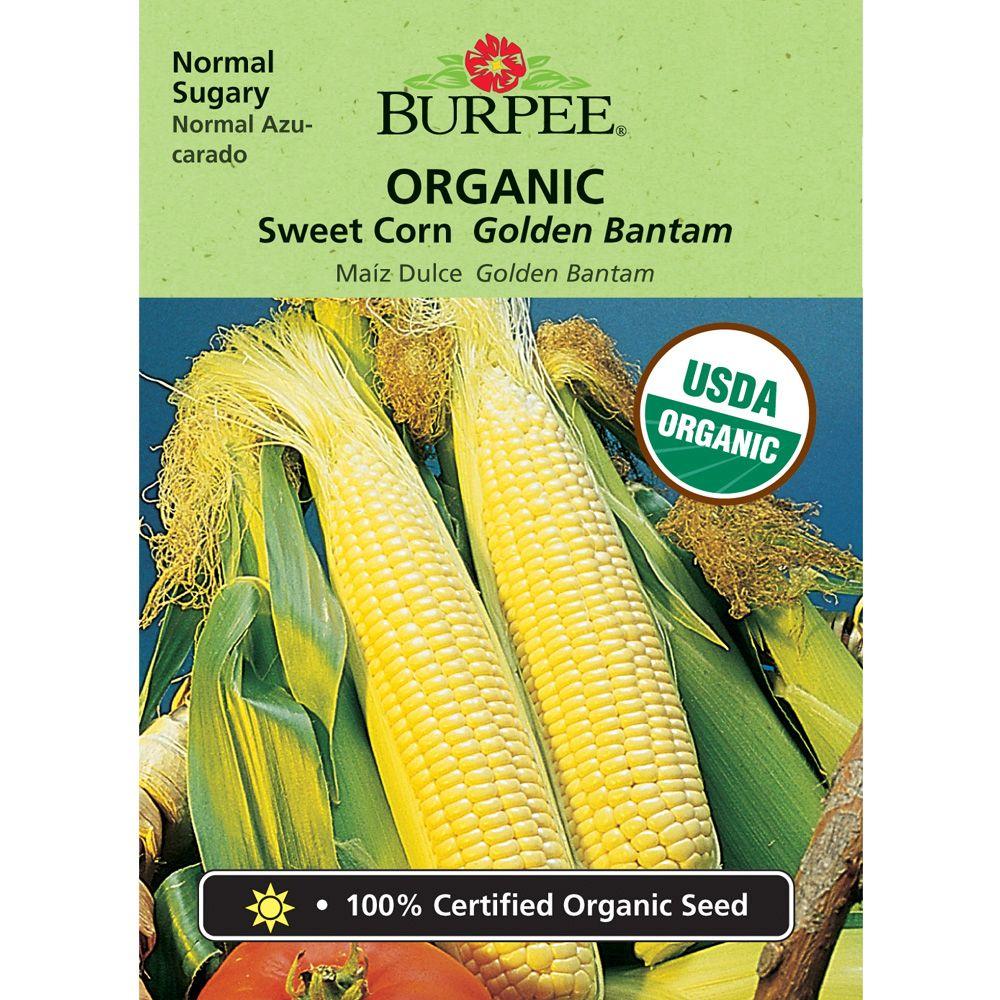 Burpee Golden Bantam Sweet Corn Seed60158 The Home Depot