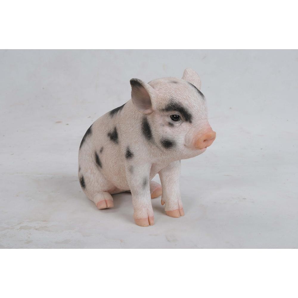 baby pig toy