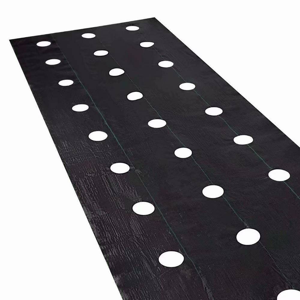 Agfabric Landscape EasyPlant Weed Block Mulch Outdoor Garden Weed Rugs