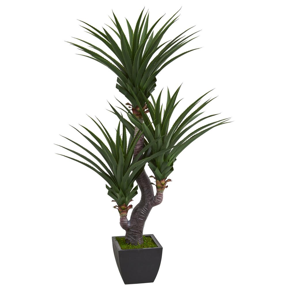 Nearly Natural Indoor 6 ft. Dracaena Artificial Plant with Black