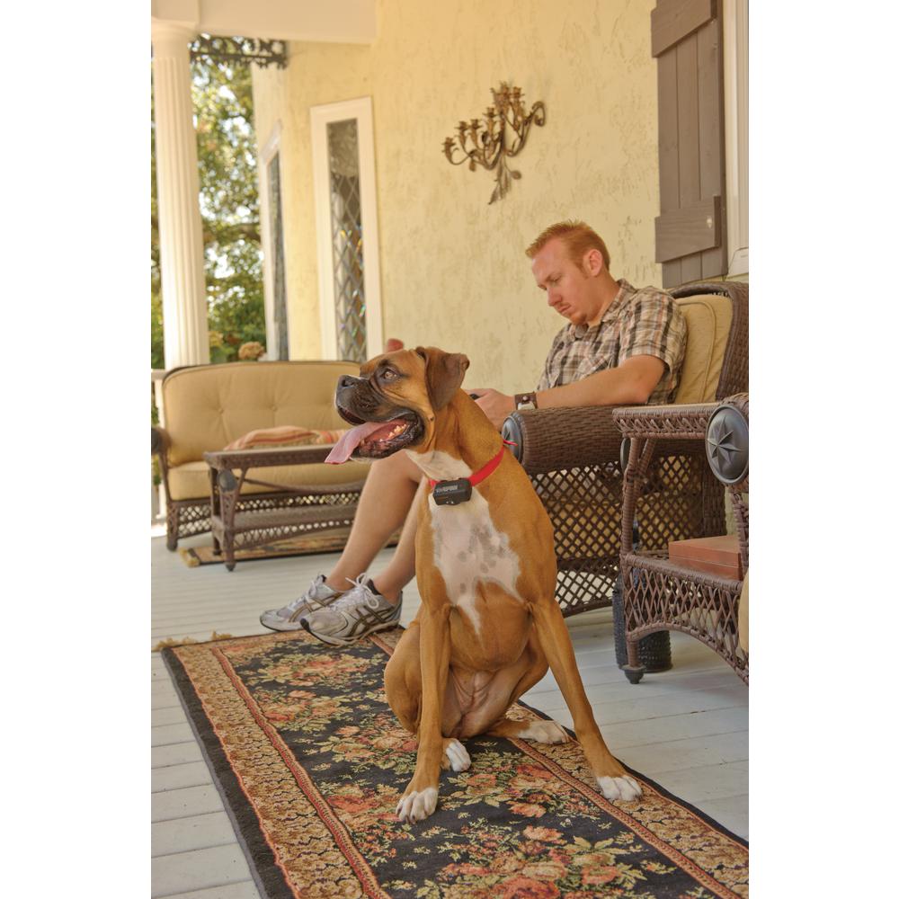 home depot bark collar