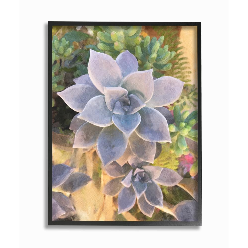 The Stupell Home Decor Collection 16 In X 20 In Succulent Plant