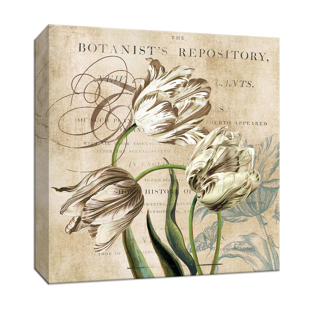 Ptm Images 15 In X 15 In Tulip Botanical Canvas Wall Art 9 164772 The Home Depot