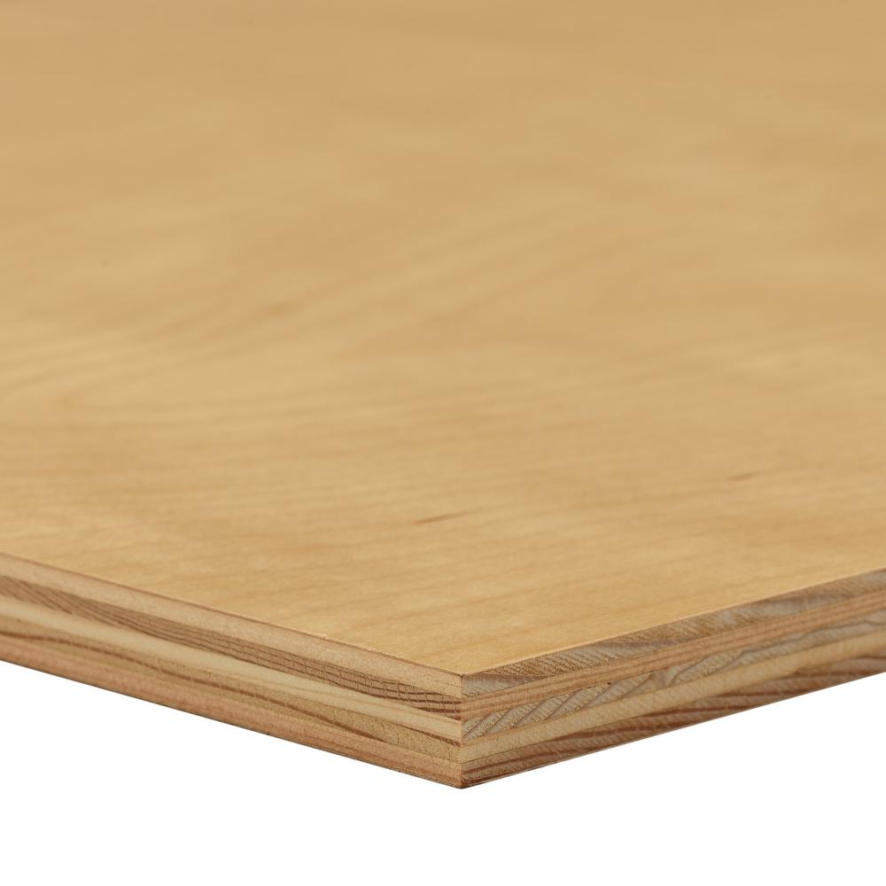 Dimensions Uv Birch Plywood Common 3 4 In X 2 Ft Actual 0 703 23 75 47