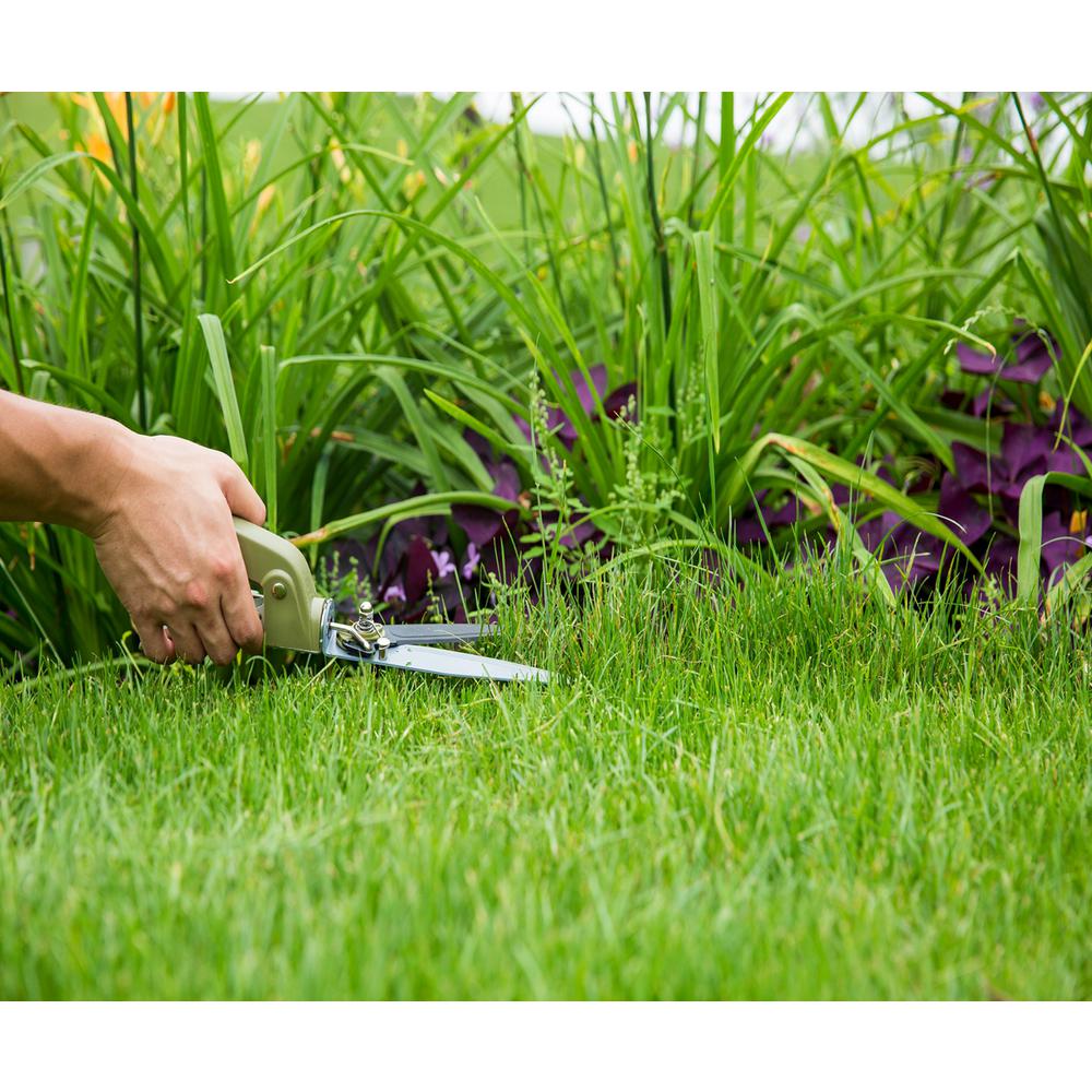 grass shears amazon