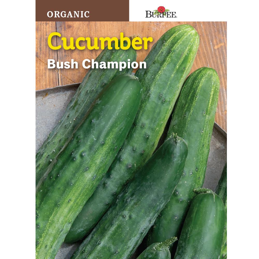 Burpee Organic Cucumber Bush Champion Seed66970 The Home Depot