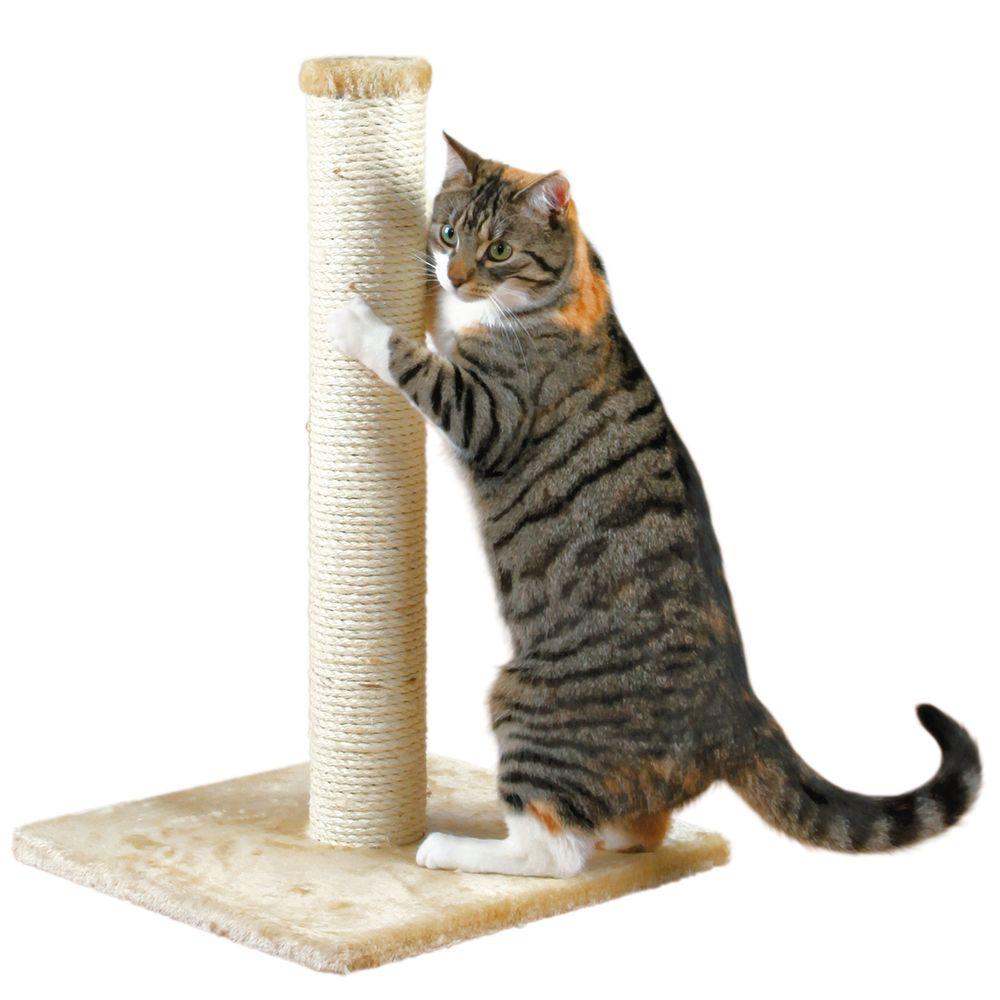 cat pole scratchers