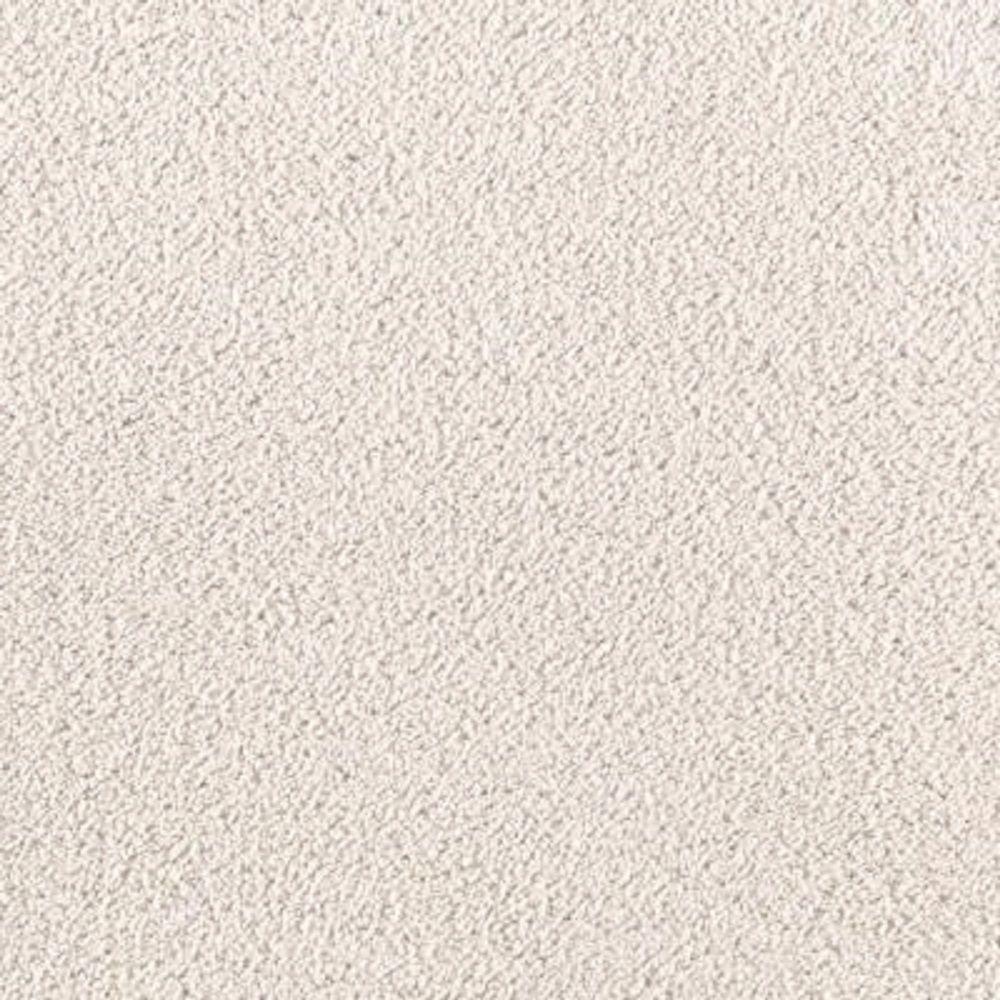 LifeProof Carpet Sample Wesleyan I Color Whitewash Texture 8 in. x