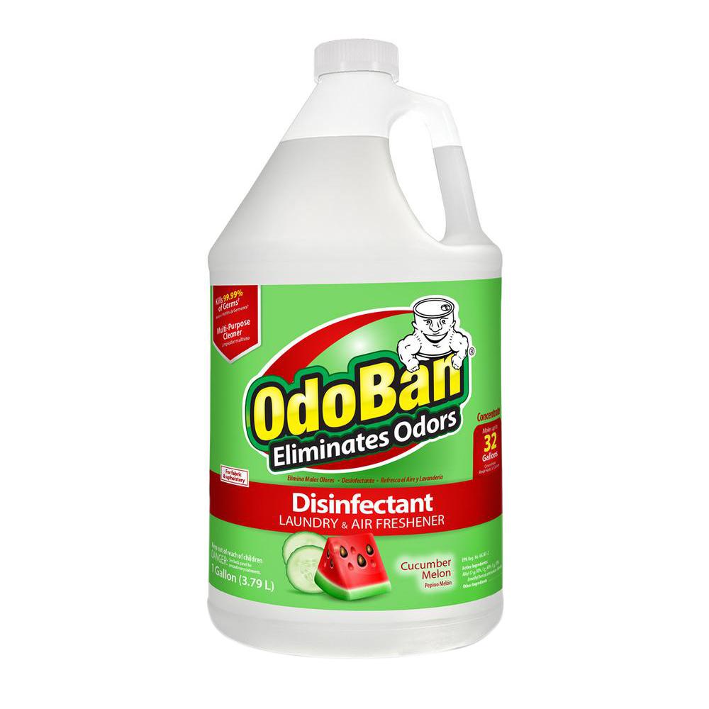 Mr Clean Home Pro 1 Gal Meadows And Rain Scent Multi Surface Cuber Melon Disinfectant Laundry And Air Freshener Mold