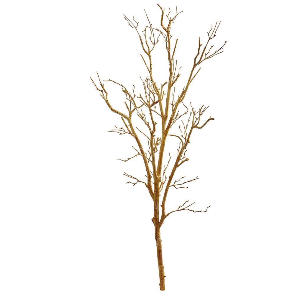 branch twig