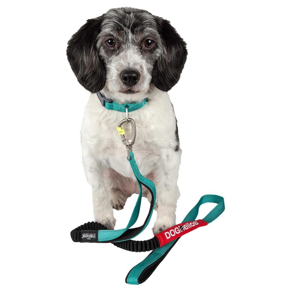 home depot dog leash