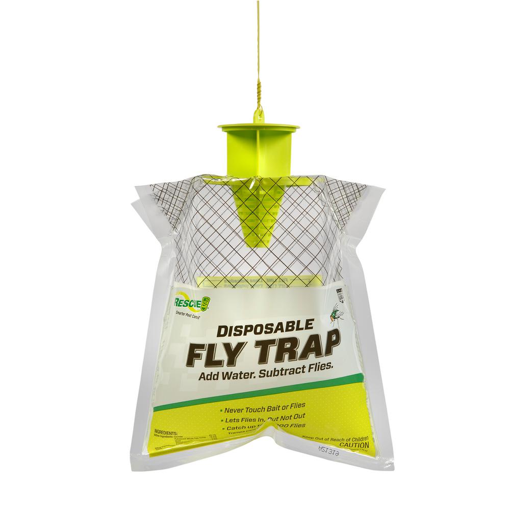 decorative fly traps