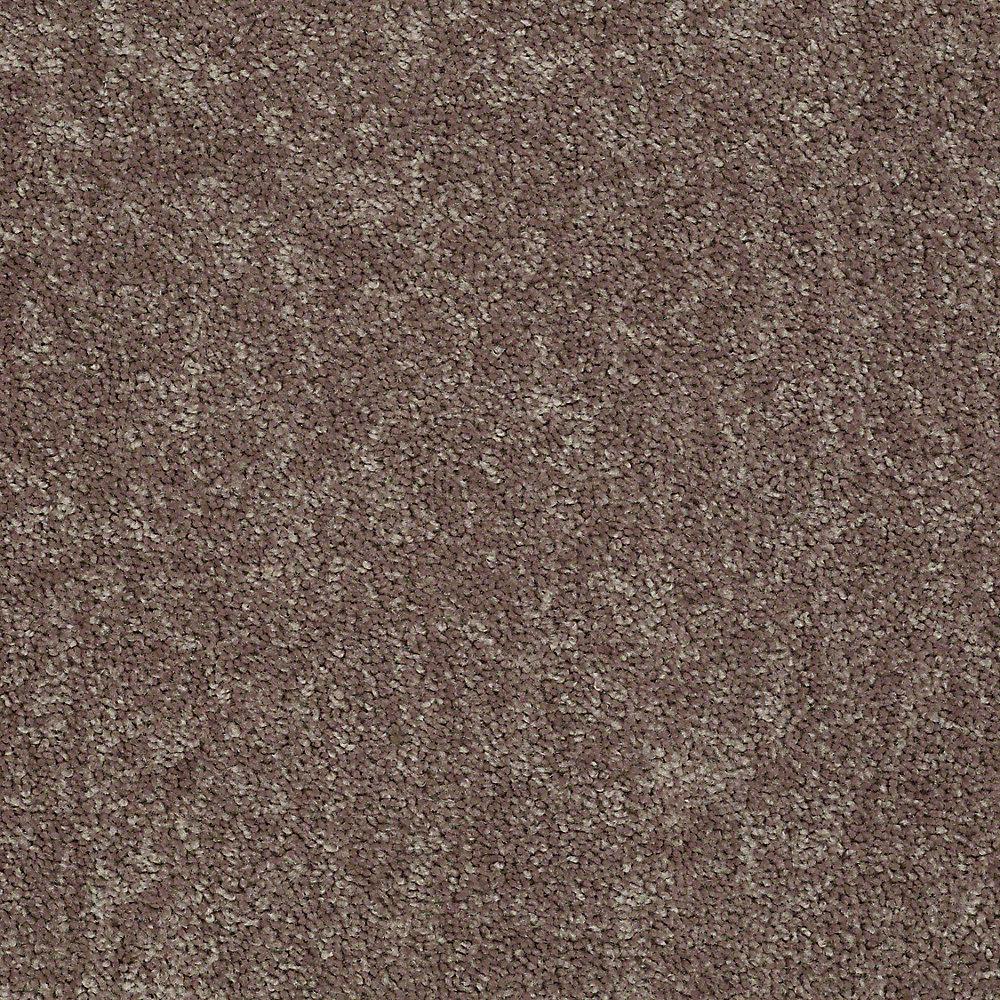 Trafficmaster Residential Carpet Sample Alpine 12 In Color Inner