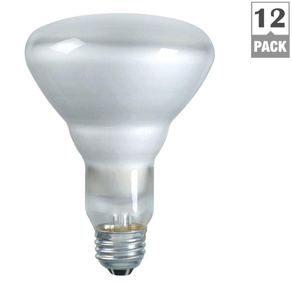 Philips 65-Watt BR30 Incandescent DuraMax Indoor Flood Light Bulb ... Philips 65-Watt BR30 Incandescent DuraMax Indoor Flood Light Bulb ...