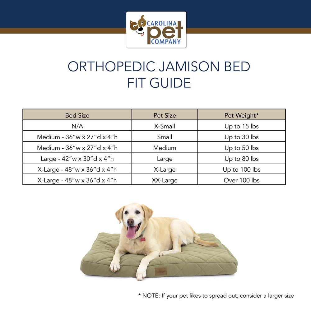 pet bed sizes