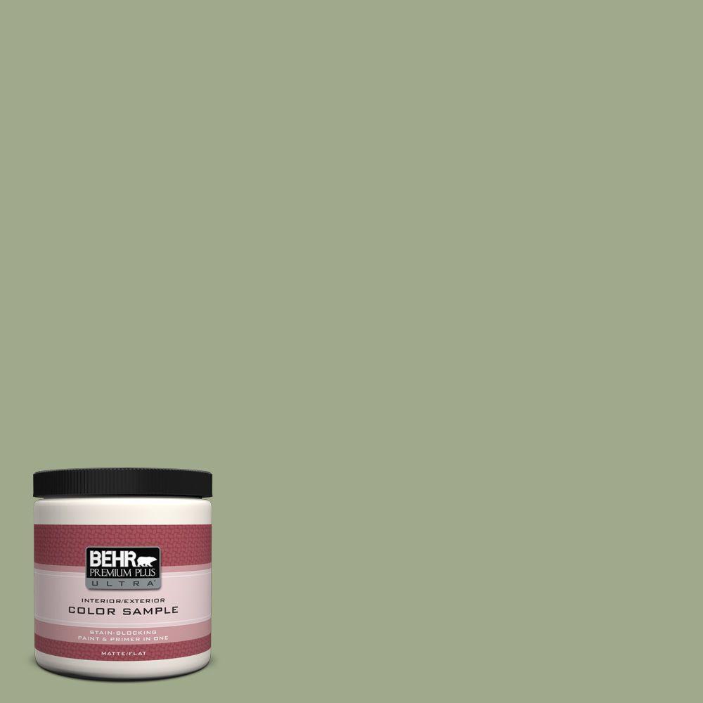 Behr Premium Plus Ultra 8 Oz Pmd 36 Mountain Sage Matte Interior Pmd 36 Mountain Sage Matte Interior