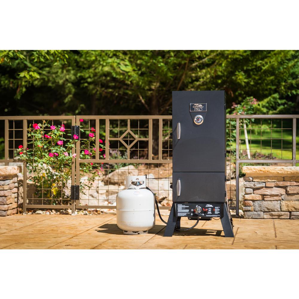 Charcoal Propane Smoker 2 in 1 Fuel Smoke Meats All Year Dual Door Wood