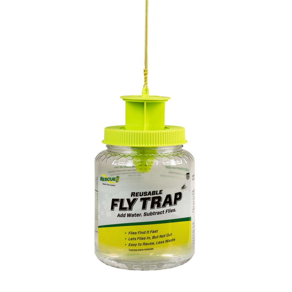 fly trap reviews