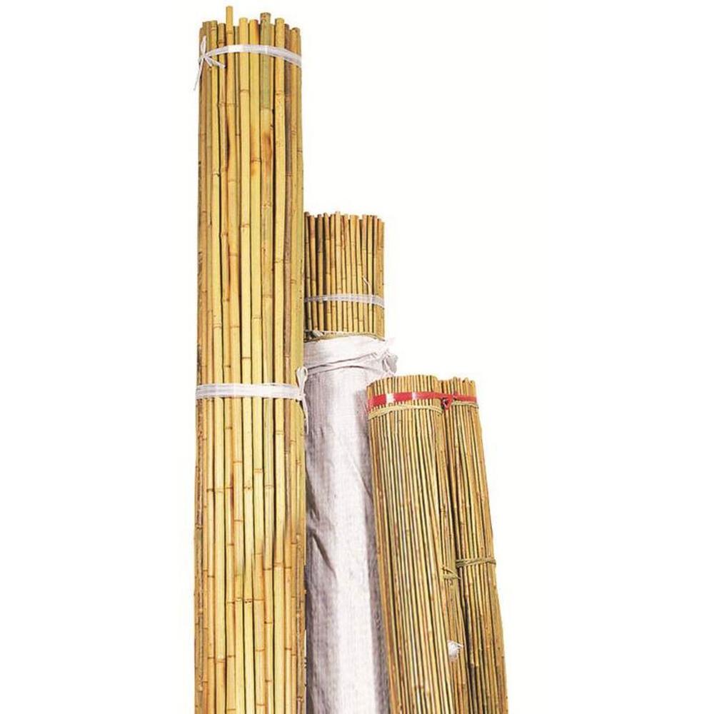 Backyard X-Scapes 1 in. x 8 ft. Natural Bamboo Poles (25-Pack ...