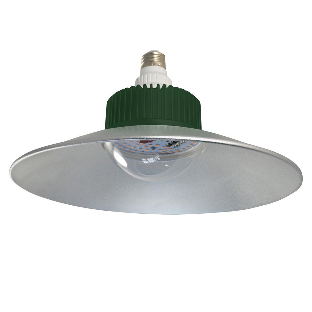 Stonepoint Led Lighting 33 Watts Reflector Grow Light Bulb 1 Gr Ref1 The Home Depot Stonepoint Led Lighting 33 Watts Reflector Grow Light Bulb 1 Gr Ref1 The Home Depot