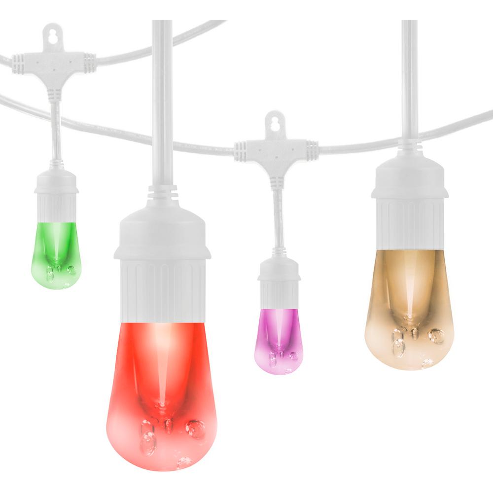 Enbrighten 48 Ft Vintage Seasons Led Color Changing Cafe String Vintage Seasons Led Color Changing Cafe String Lights In White