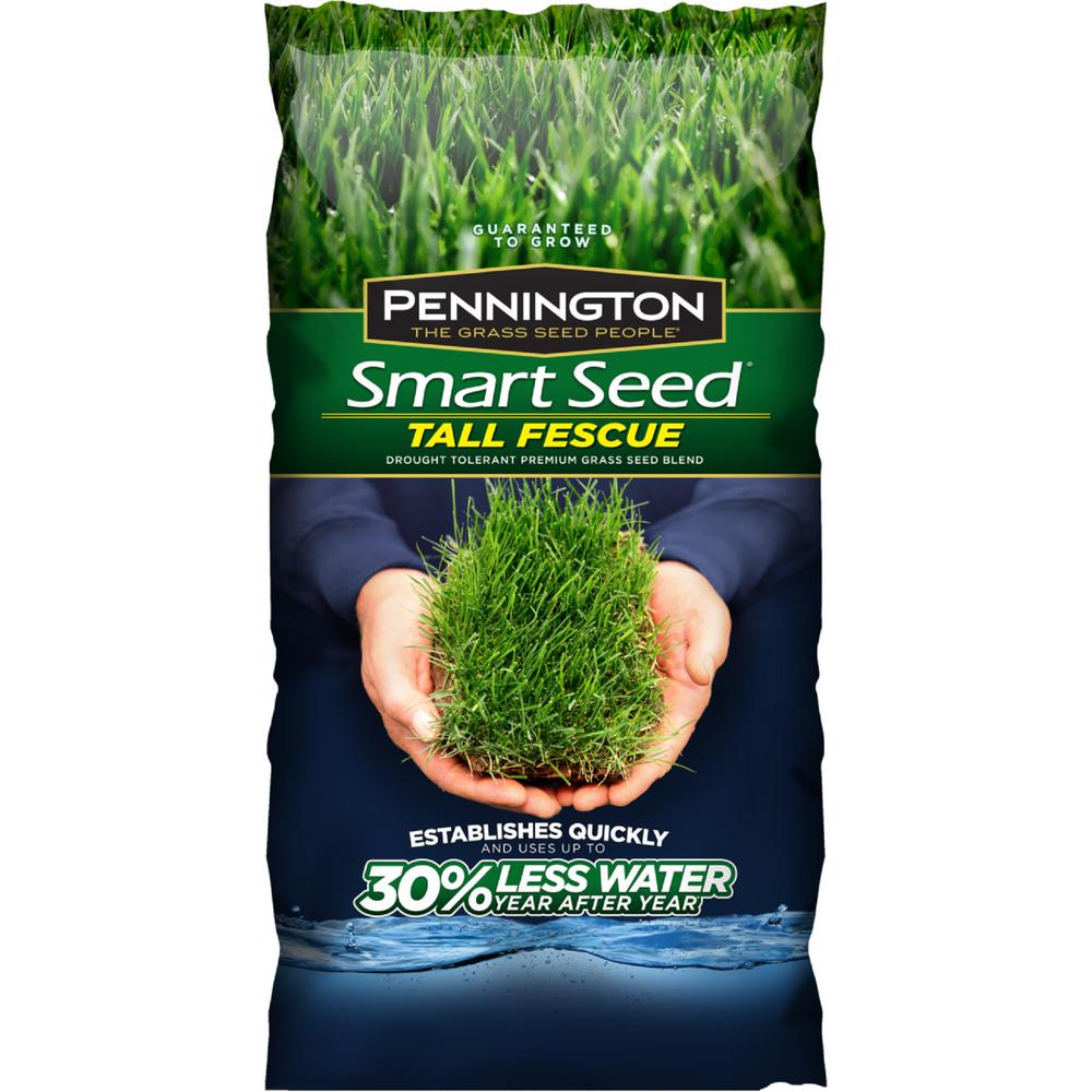 Turf Builder Kentucky Grass Seed Mix by Farmerly Organic Seeds 3-Lbs