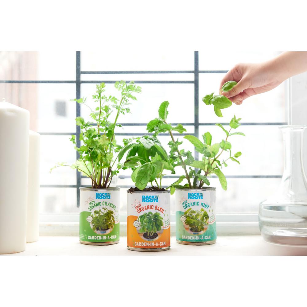 Comes with Small Herb Planter Gardening Gift Set 2 Colour Options