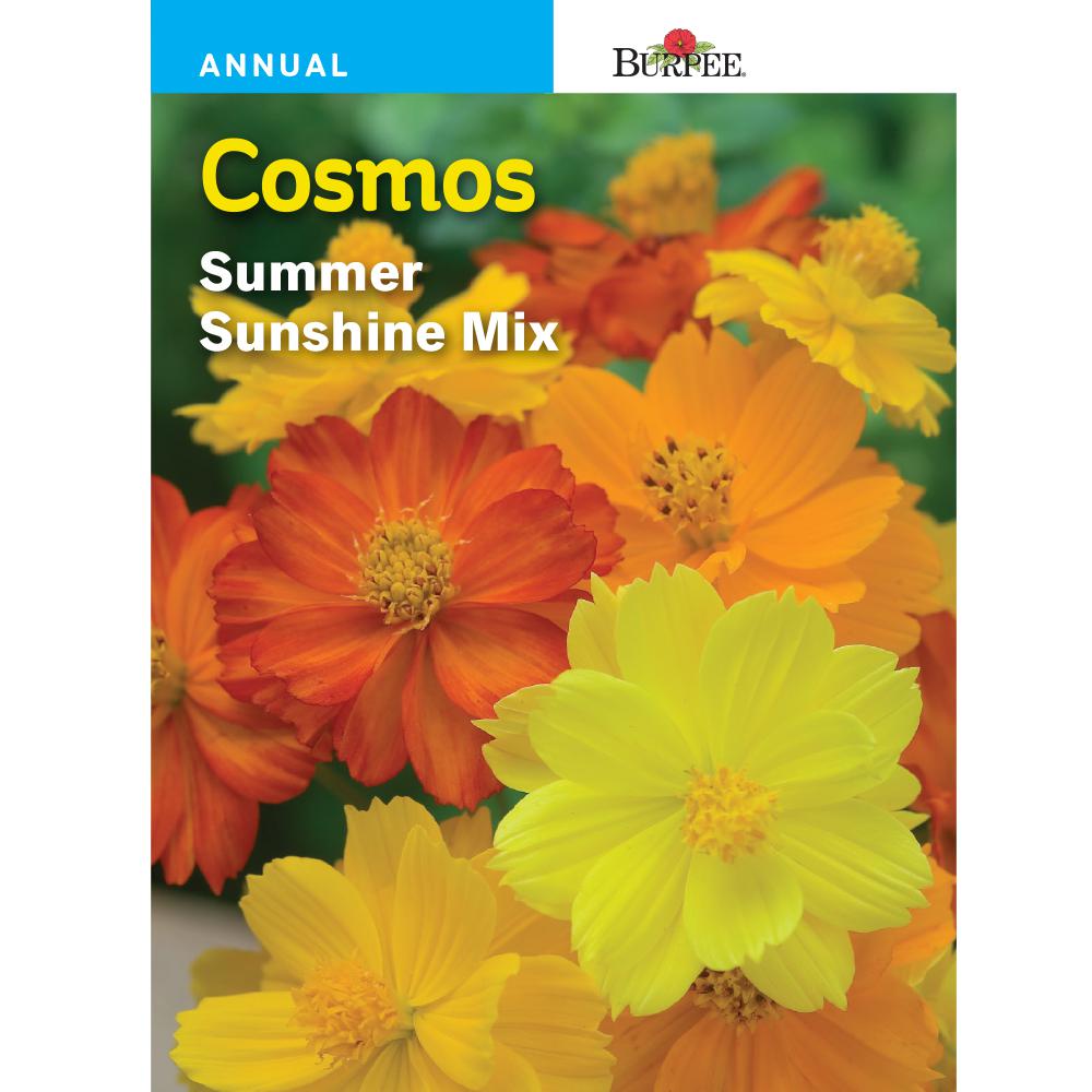 Flower Seeds Seeds & Accessories The Home Depot