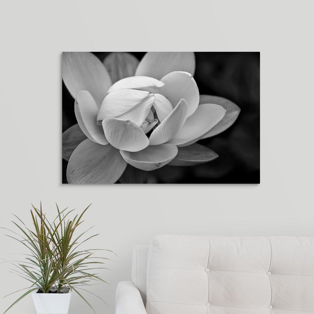 Black And White Flower By Dream On Photography Canvas Wall Art