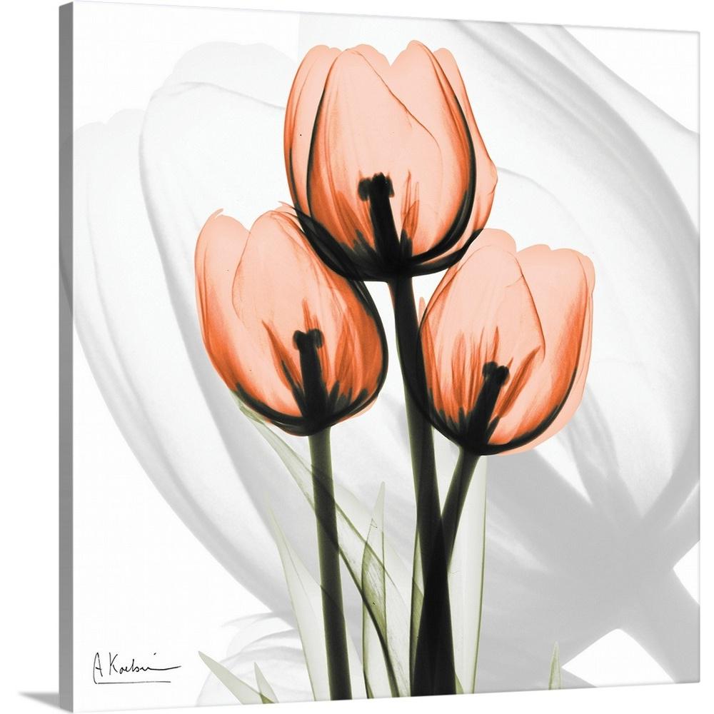 GreatBigCanvas "Orange Tulips x-ray photography" by Albert ...