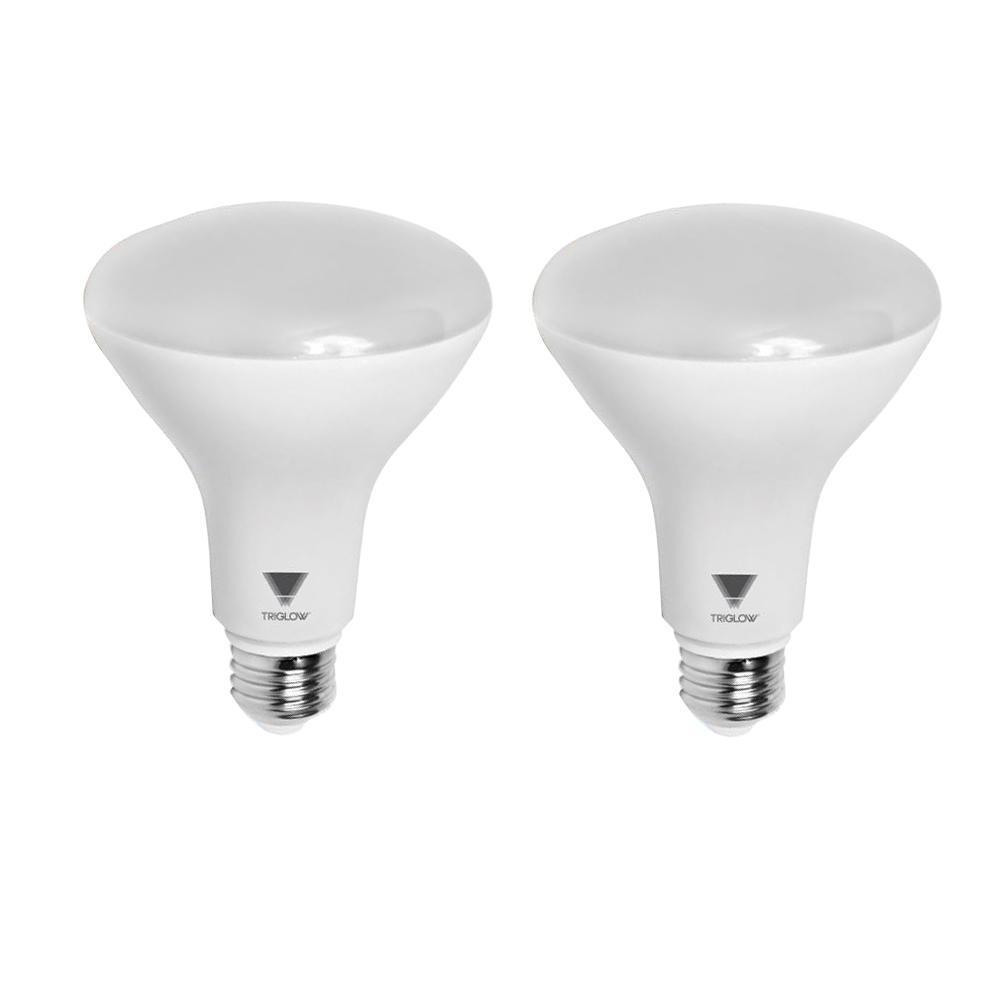 BR30 - LED Bulbs - Light Bulbs - The Home Depot