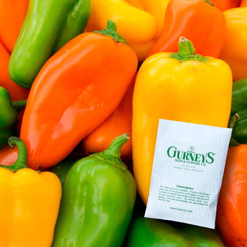 Gurney's Sweet Pepper Yum Yums Hybrid Mixed Mini Bells Seed (15Pack)64565 The Home Depot