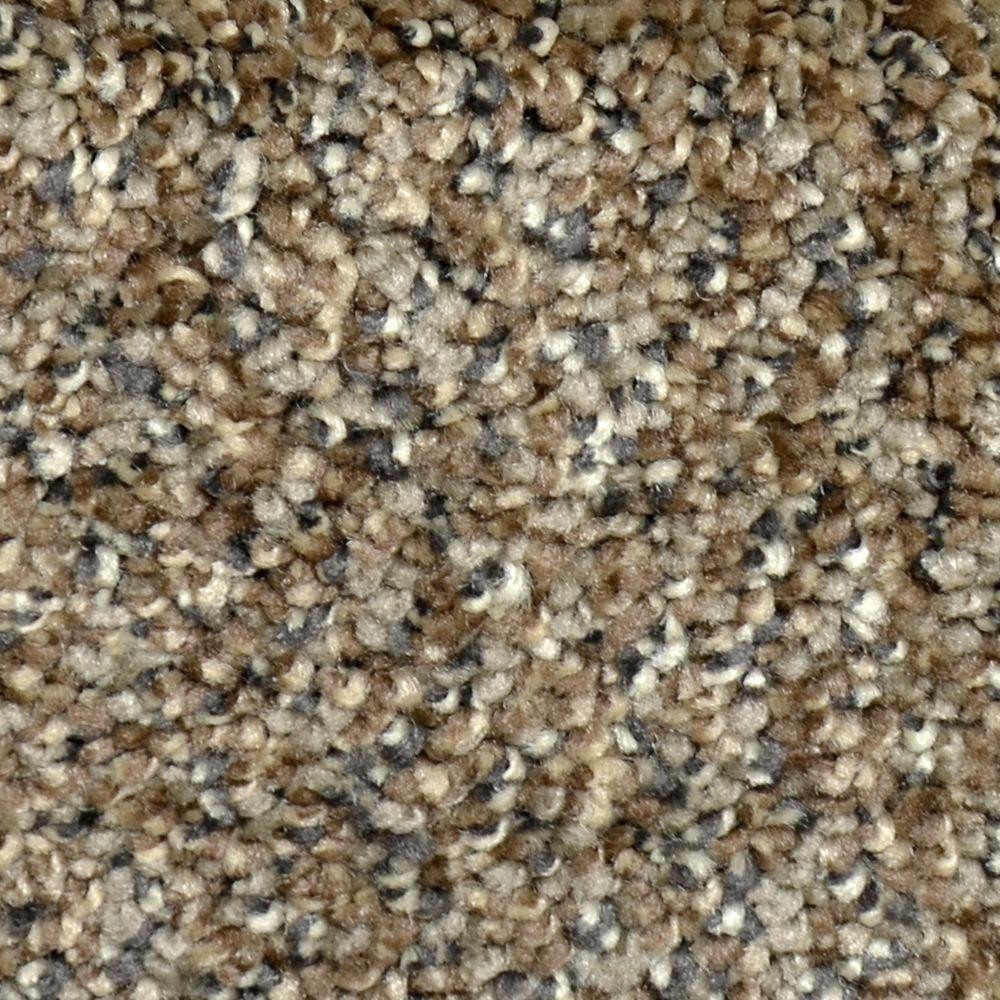 LifeProof Carpet Sample Graceful Style I Color Clifton Texture 8 in