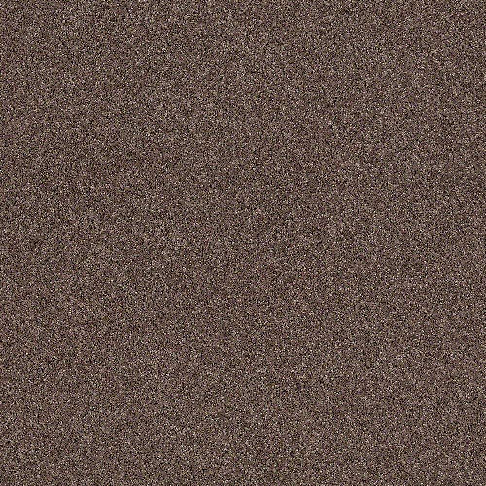 Lifeproof Coral Reef I Color Log Cabin Texture 12 Ft Carpet